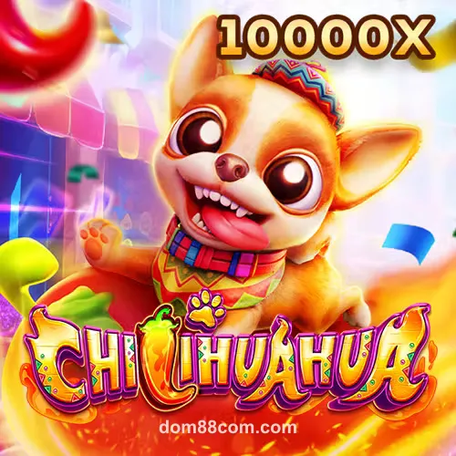 dom88com Fachai Chihuahua Portrait
